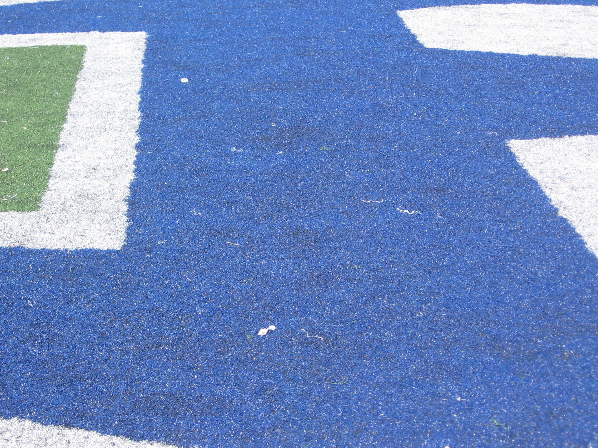 A typical surface before we apply our turf maintenance procedures.