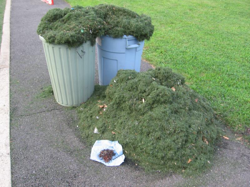A typical example of broken fibers, dirt, dust, and other contaminants removed. 