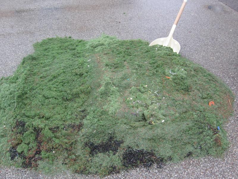 An accumulation of dust, dirt, and debris occurs every year.