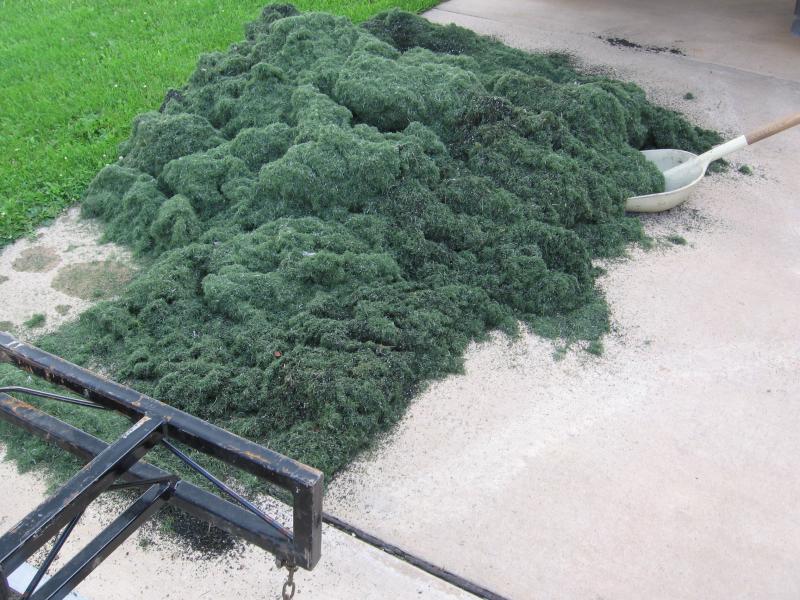 Debris and contaminants removed from another turf field.